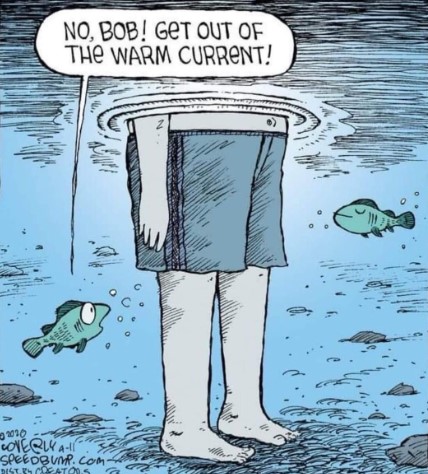 Screenshot 2023-08-04 213618