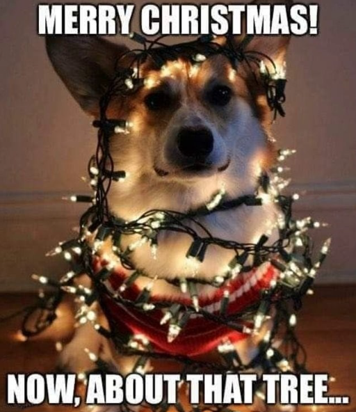 Screenshot 2023-12-02 155511