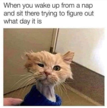 Screenshot 2024-05-04 135741