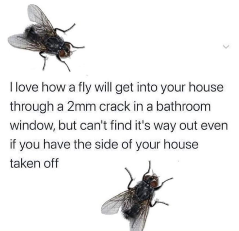 Screenshot 2025-08-02 161237